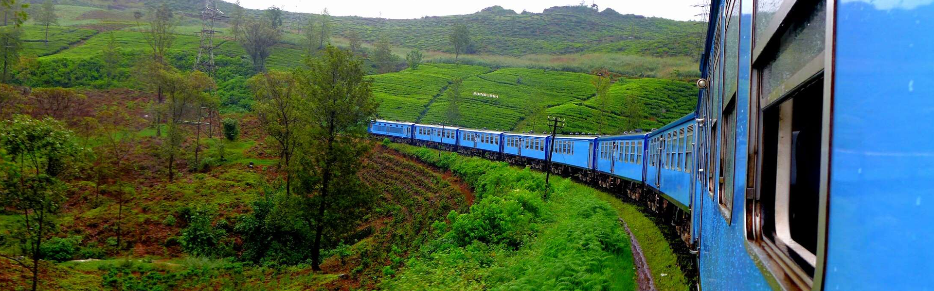 Ella Train Tour